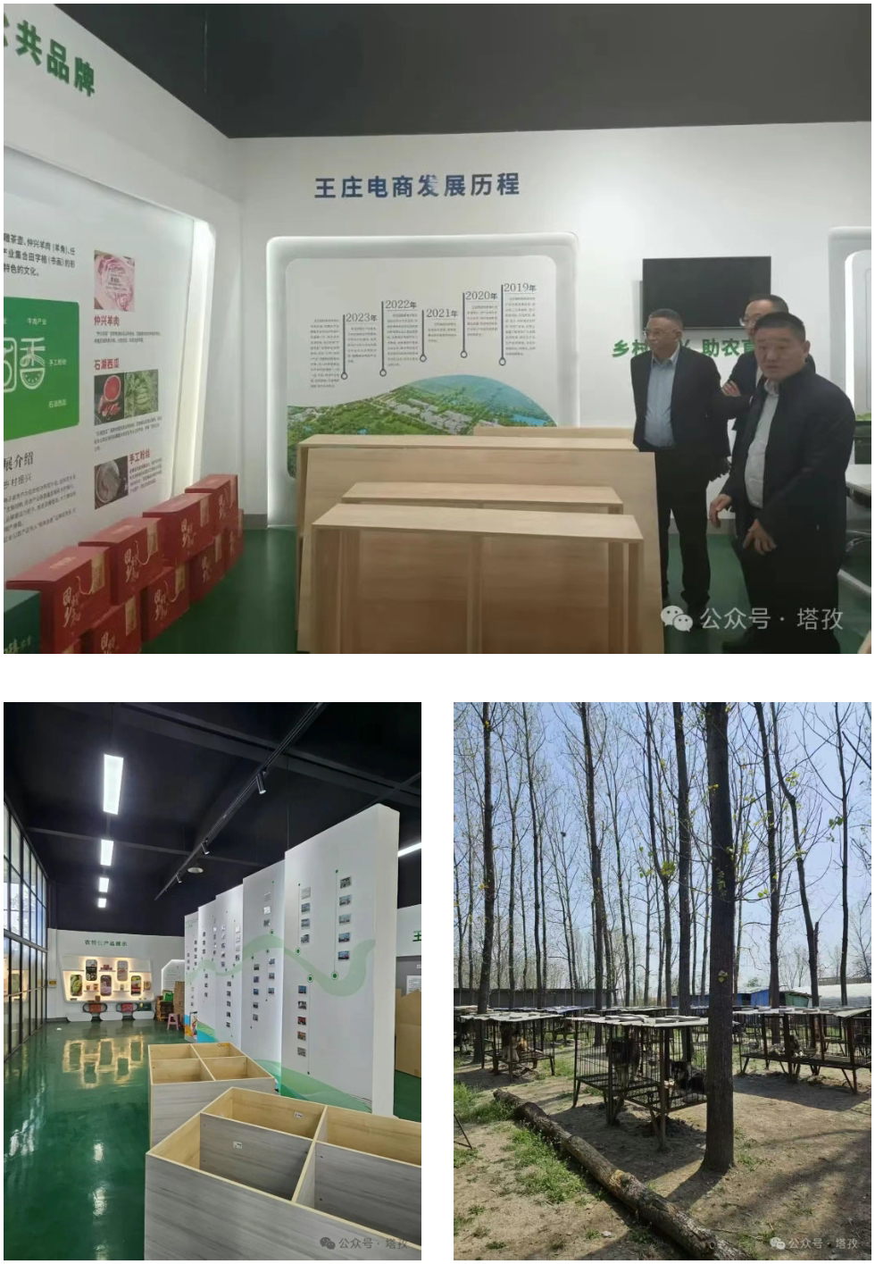 调研活动.jpg